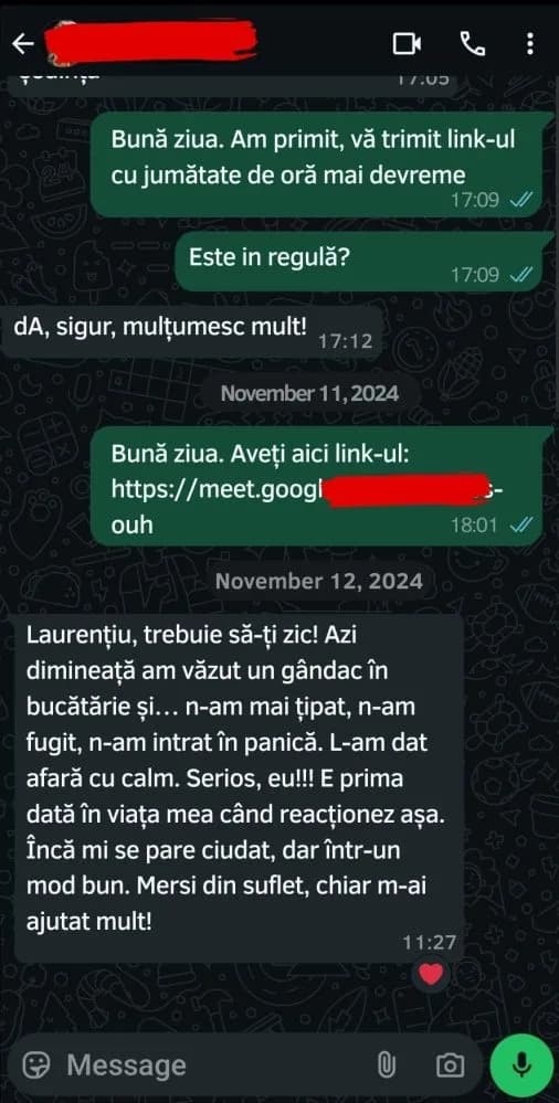 Captură de conversație cu un client (4 din 11)